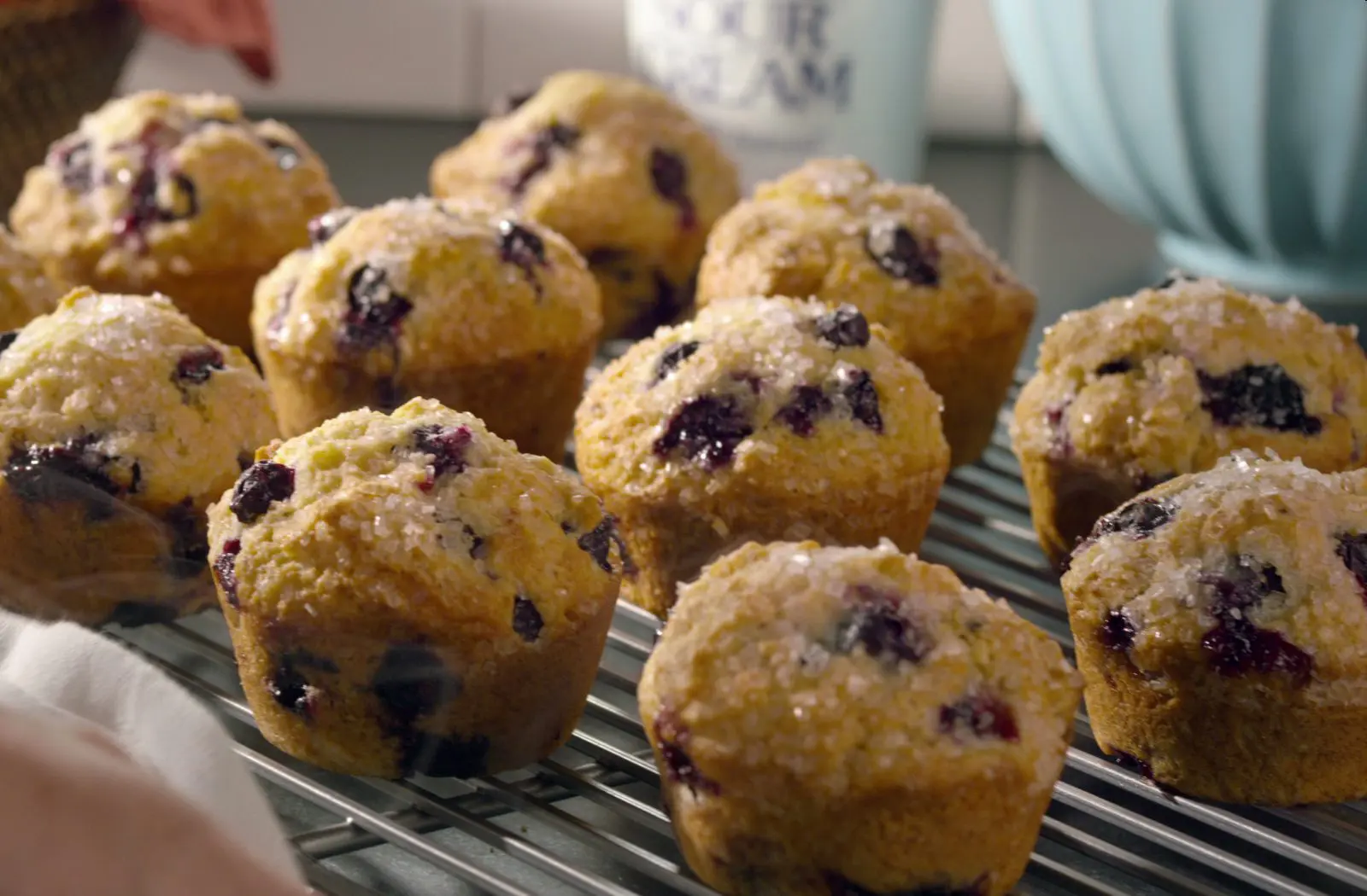 Blueberry Muffins Beauty 3