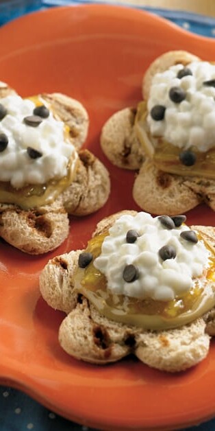 CINNAMON PBJS 770x628 3225