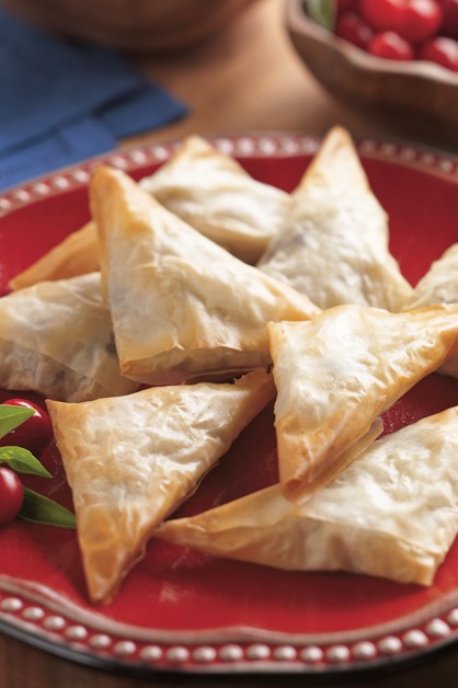 TURKEY CRANBERRY PARTY TRIANGLES 770x628