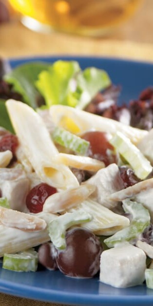 TURKEY CRANBERRY PASTA SALAD