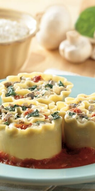 VEGEGIE LASAGNA ROLLS 770x628