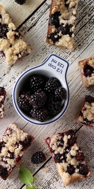 Blackberry Bars 770x628 4961