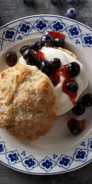 Blueberry Shortcakes 770x628 6098