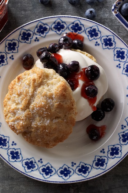 Blueberry Shortcakes 770x628 6098
