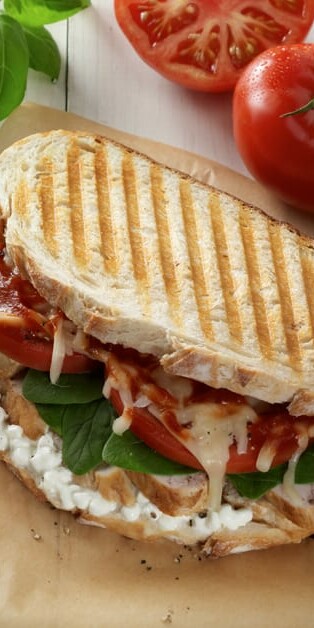 Chicken And Cheese Panini2 770x628 4709
