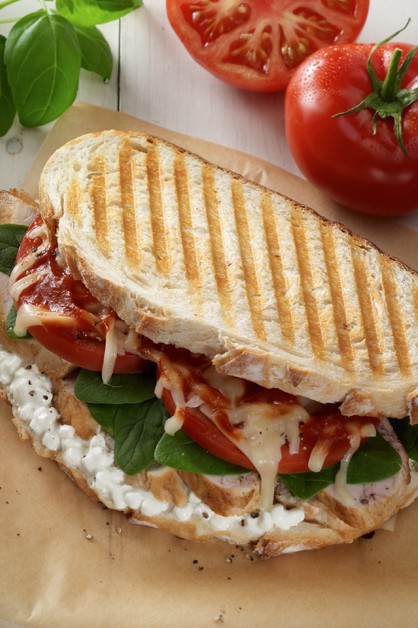 Chicken And Cheese Panini2 770x628 4709