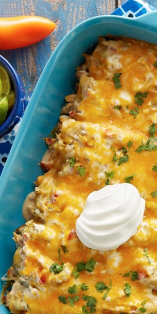 Chicken Enchiladas3 770x628 8883