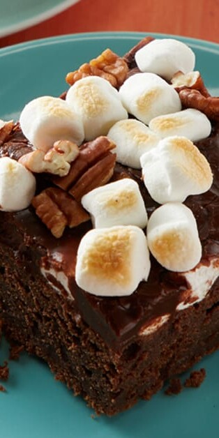 Mississippi Mud Cake 770x628 6438