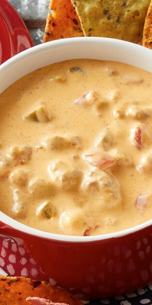 Taco Queso Dip2 770x628 8938