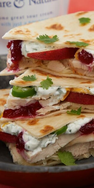 turkey and cranberry quesadillas