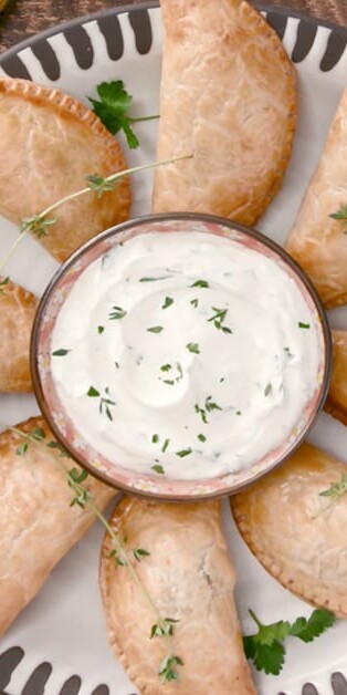 Turkey Empanadas 770x628 6473