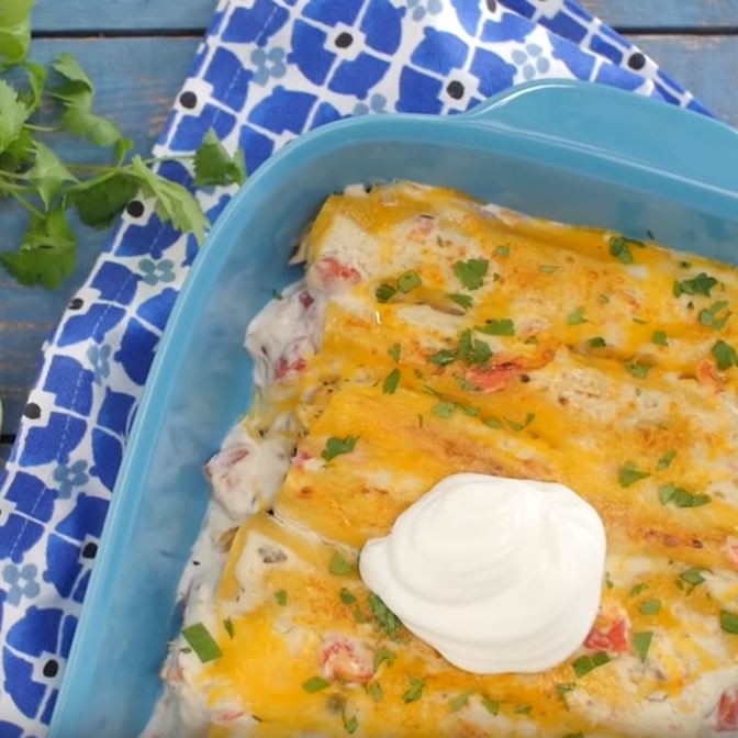 Chicken Enchiladas