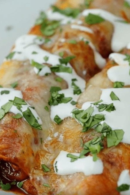 Creamy Turkey Enchiladas