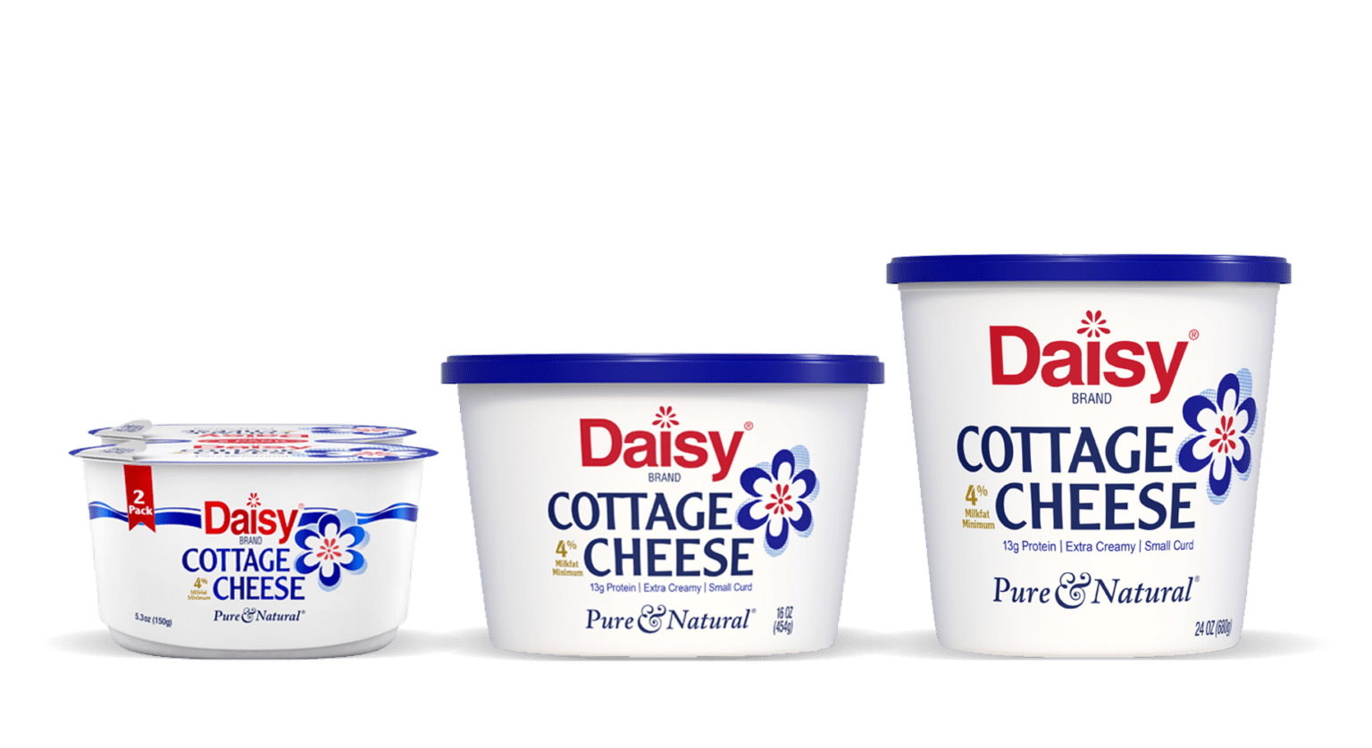 America's Favorite Sour Cream and Cottage Cheese Daisy Brand