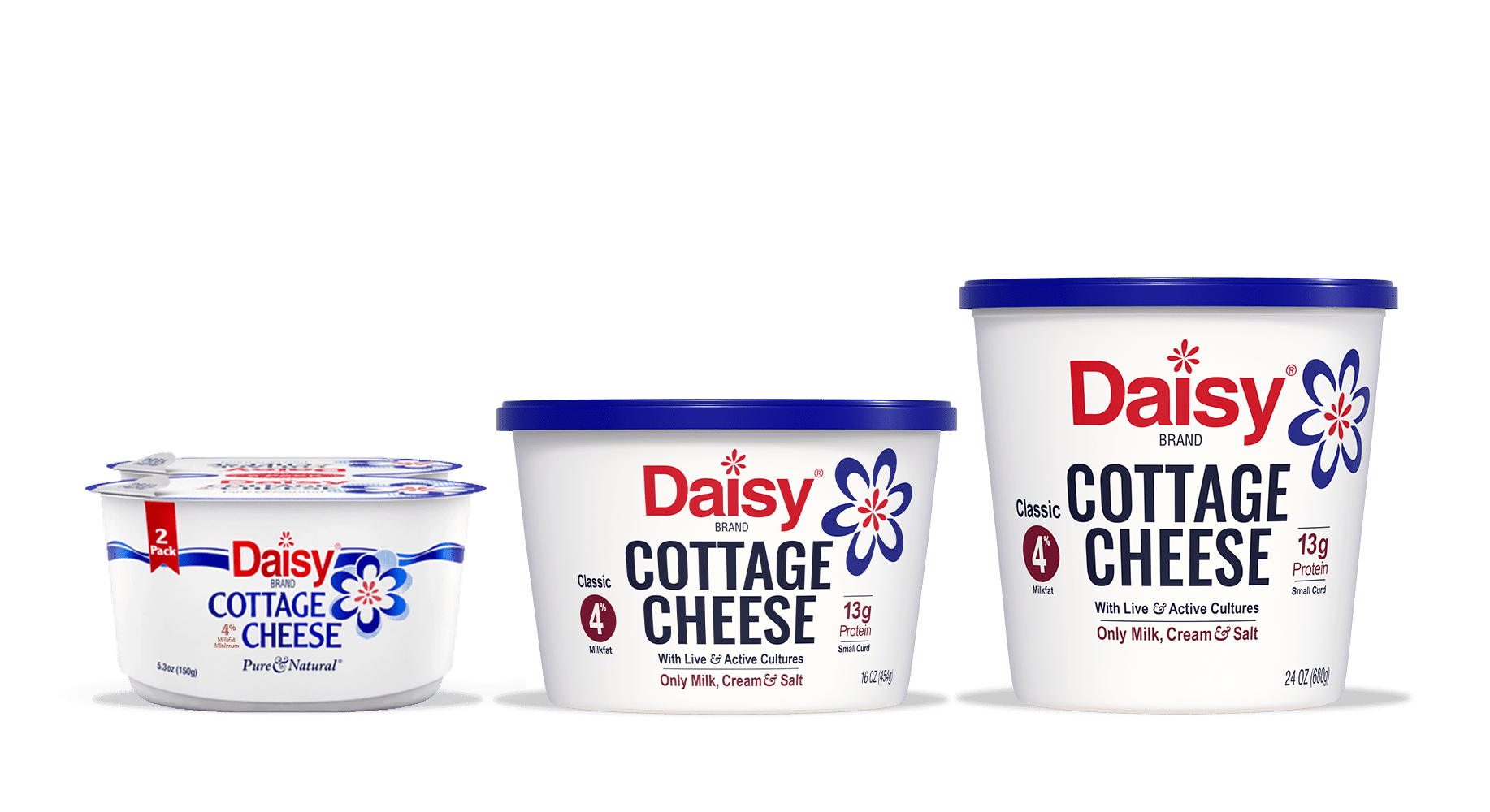 Daisy Cottage Cheese
