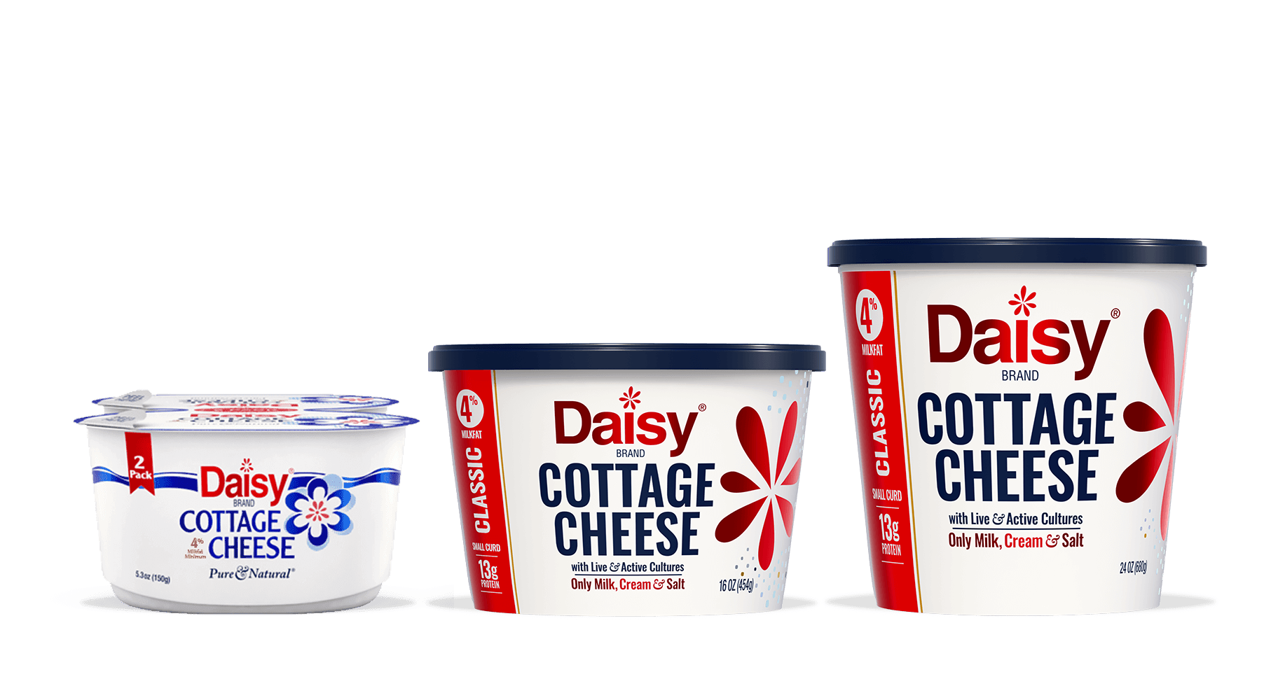 Daisy Cottage Cheese