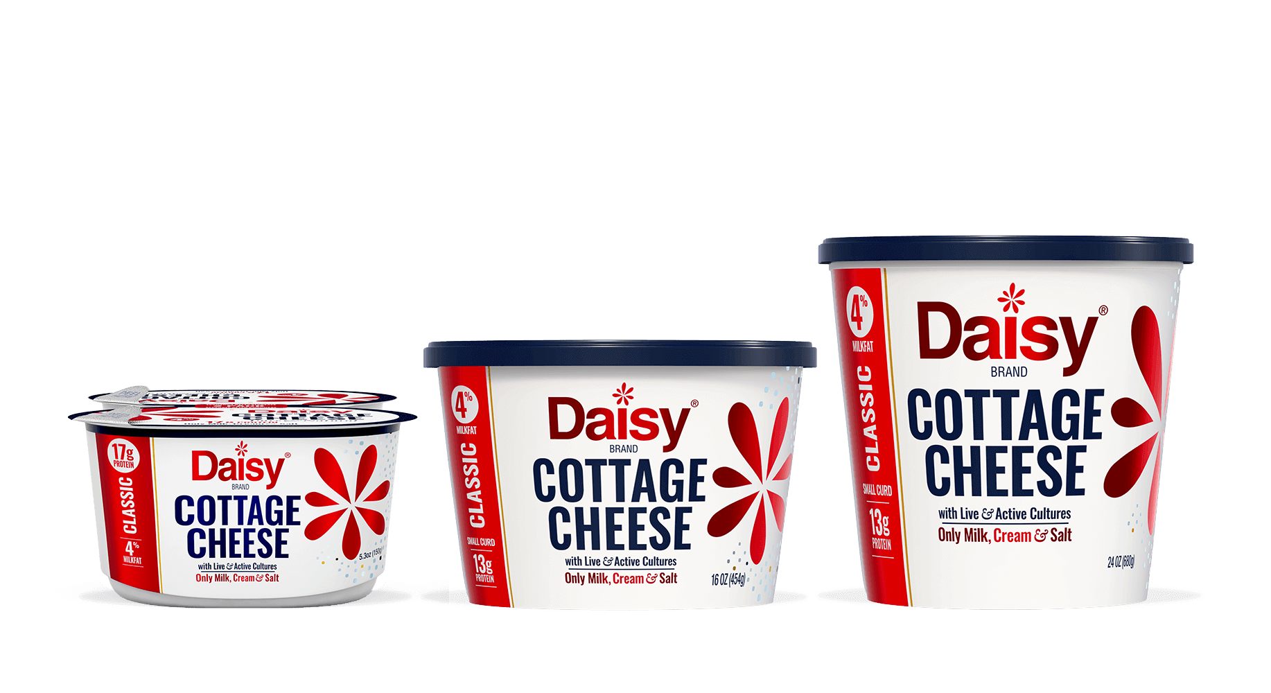 Daisy Cottage Cheese