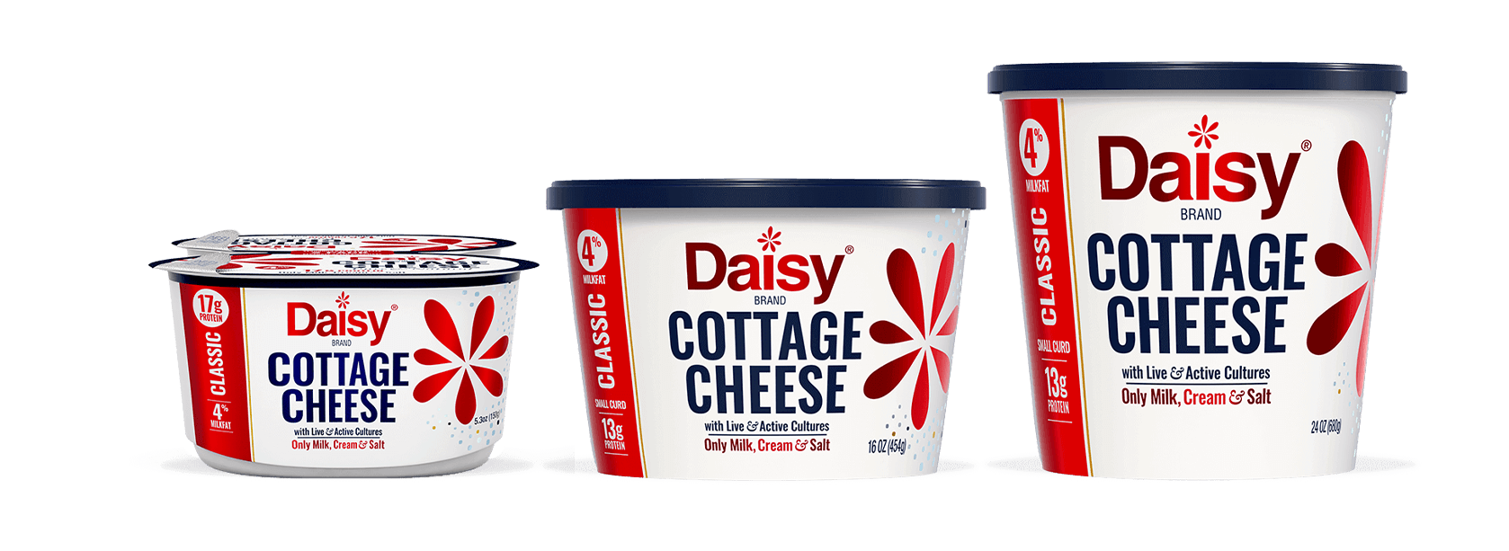 Daisy Cottage Cheese