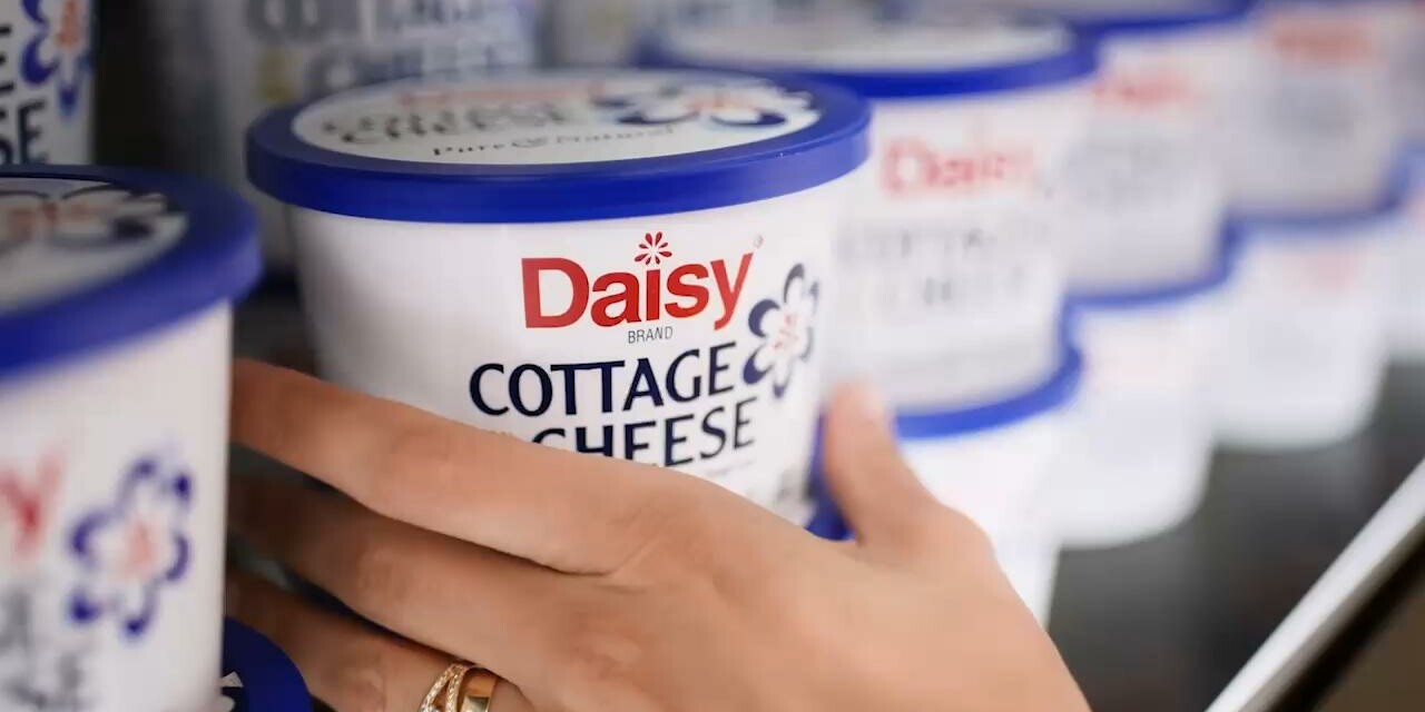 Careers Daisy Brand Sour Cream & Cottage Cheese
